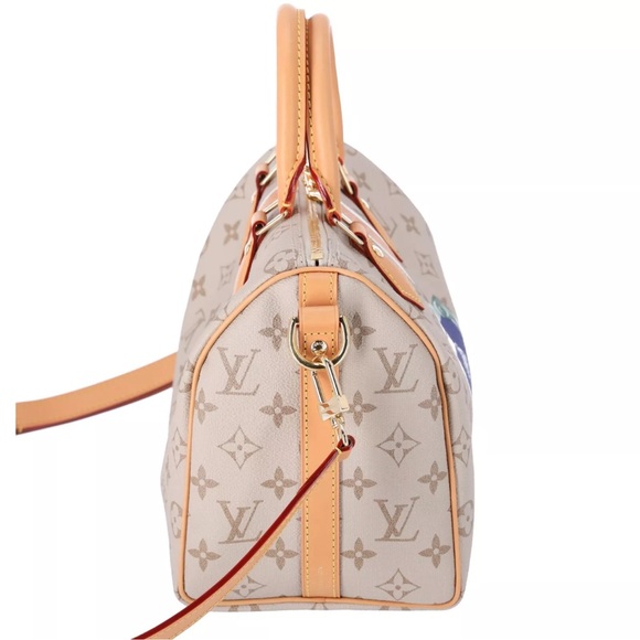 Louis Vuitton Monogram Speedy Bandoulière 25 M46749 Beige Multi Stripe Limited - Picture 6 of 9